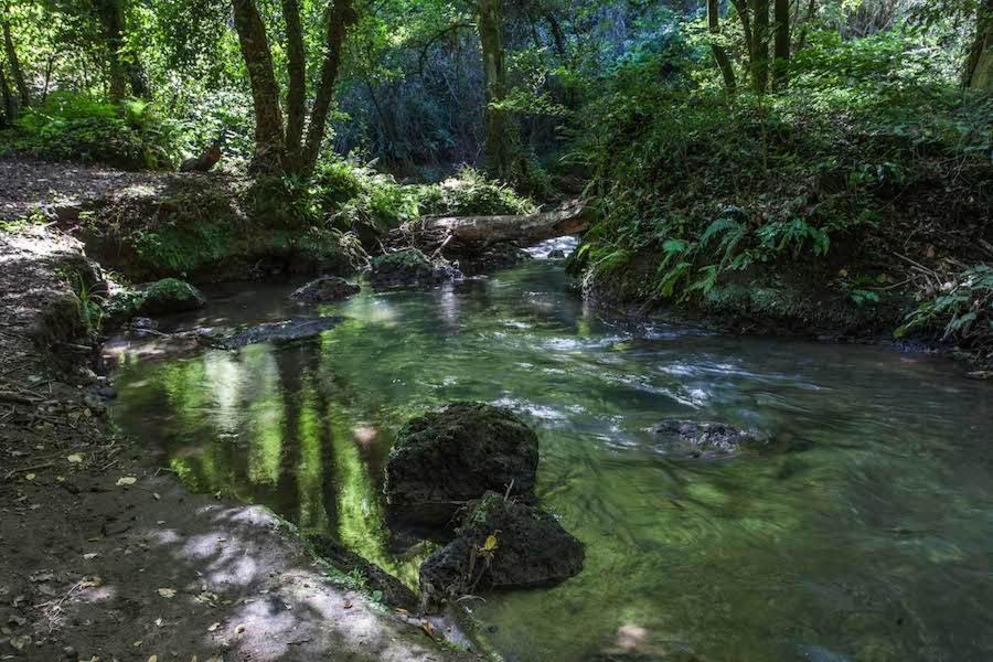 Agriturismo Villa Amerina Corchiano Ngoại thất bức ảnh