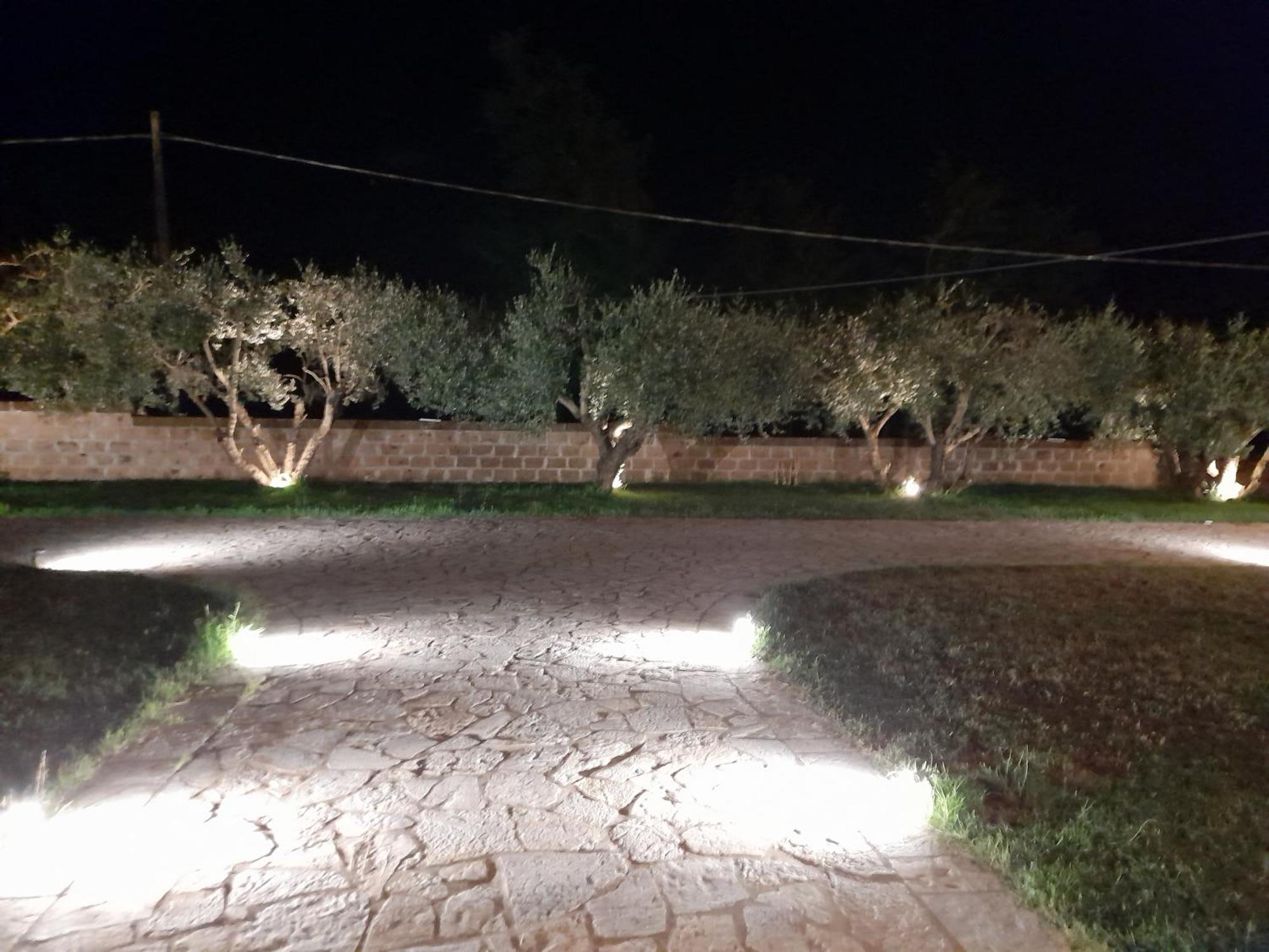 Agriturismo Villa Amerina Corchiano Ngoại thất bức ảnh